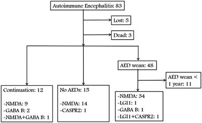 Characteristics of Seizure and Antiepileptic Drug Utilization in Outpatients With Autoimmune Encephalitis